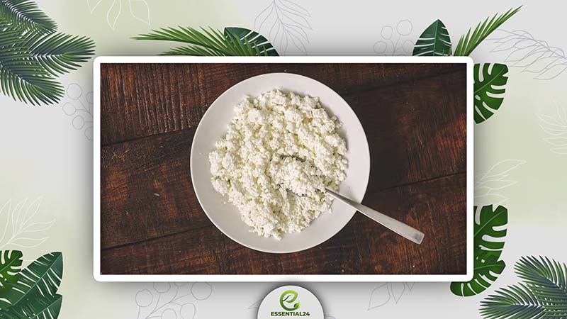 Basics of a Cottage Cheese Diet